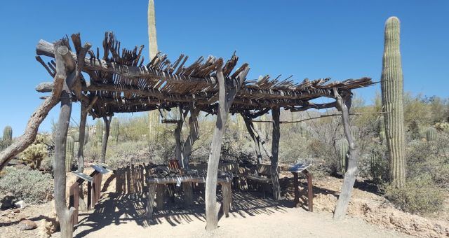 Ramada dans le sentier du désert au Arizona-Sonora Desert Museum. Les ramadas sont des structures de bois installées dans le désert pour fournir un peu d'ombre aux passants.