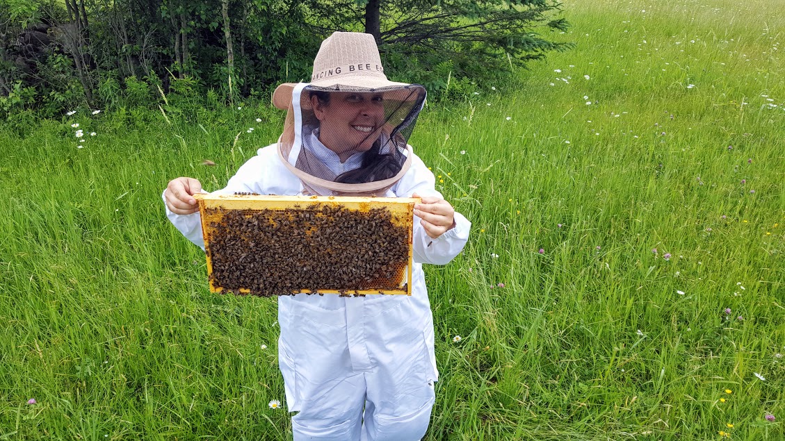 chalet écoresponsable louer Tingwick Victoriaville Quebec Apiculture, miel, Tingwick, miel de la communauté, abeilles